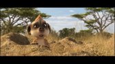 Hurá do Afriky! (2010) CZ animovaný avi