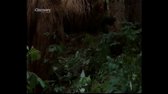 Bear Grylls - Unik z pekla - Severni Italie mkv