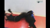 Cesta boje   Izrael (Krav Maga) avi