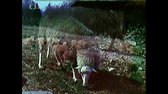 Za svedky minulosti   21 Kouzelne vreteno avi