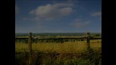 Minuscule Volume 2 mp4