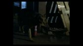 Komisař Rex 2x13   Tři vteřiny do smrti avi