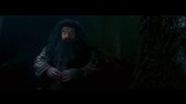 Harry Potter a Fénixův řád cd1 avi