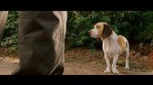 Superpes (Underdog 2007) Cz avi
