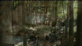 Ztracený svět   3x15  Finn (DVDRip Cz SS23) avi