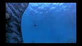 Dinosauři   1x03  Kruté moře (DVDRip Cz SS23) avi
