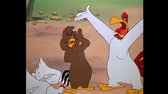 Looney Tunes   044   Mladý sokol (DVDRip Cz SS23 bt) avi