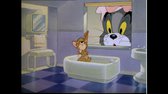 Tom a Jerry   139  Kočičí miminko (DVDRip Cz SS23 bt) avi