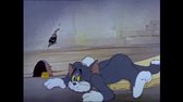 Tom a Jerry   060  Ve válečném stavu (DVDRip Cz SS23 bt) avi