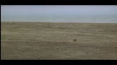 Western   Tom Horn (DVDRip Cz SS23) avi