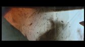 Válečný   Otec jednotek kamikaze (DVDRip Cz SS23) avi