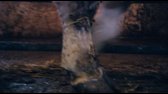 Pohansky ritual (2011) avi
