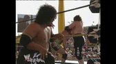 WWE Wrestlemania 09 TheMoHanD avi
