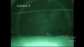 Destination Truth S05E02 Return to the Haunted Forest and Belize avi