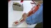 Jak se to dělá - 132  Anatomické modely (TVRip-Cz SS23) avi
