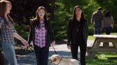 Heartland CA S08E12 HDTV x264 KILLERS mp4