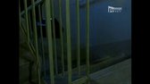 Komisař Rex - 2x07  Nebezpečný lov (TVRip-Cz SS23) avi