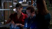 Bones   04x21   DVDRip   CZ avi