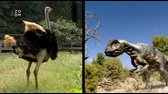 Putovani s dinosaury - Balada o Alosaurovi e01 2000 PDTV XviD CZ avi