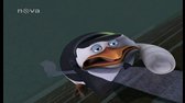 3637 Byl jsem tucnak zombie,Operace zihadlo avi