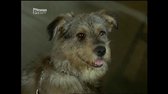Wolffův revír   06x12  Smrt svůdce (TVRip Cz SS23) avi
