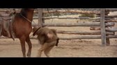 Malí-kovbojové-J Wayne avi