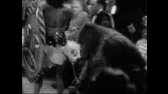 Marlene Dietrich   Blonde Venus (1932) xvid avi