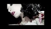 Dita Von Teese ~ Diamonds Are A Girl&#39;s Best Friend ~ Marilyn Monroe WMV V9 wmv