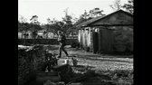 Skammen (Ingmar Bergman, 1968) avi