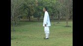 Mantak Chia    Cultivation Tai Chi mov