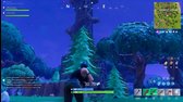 Fortnite 10-22-2017 16-55-50-212 mp4