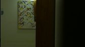 Skyline 2010 DVDRip XviD EM0C0RE avi