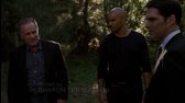 MSLZLC   08x20  Alchymie (WEBRip Cz SS23) avi