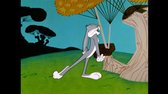 Looney Tunes   110  Jak to chodi v opere DVDRip Cz SS23 bt avi