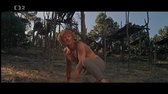 Muž, kterému říkali Kůň (1970) (CZ) (western) avi