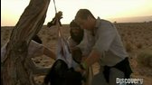 Man vs Wild S03E02   Desert Survivor avi