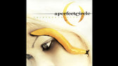 perfect circle step front jpg