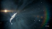 Cosmos A Spacetime Odyssey S01E03 znalosti a strach mkv