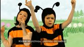 Čiperkové   Vosy mp4