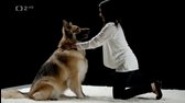 Tajný život psů S02E01   Psi se nám prý podobají mnohem víc, než jsme si kdy byli ochotni připustit (2016) mkv