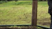 Jackass 3 5 (Jackass 3 5)(2011) cz avi