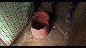 inside bills brain decoding bill gates s01e01 720p webrip x264 stout mkv