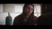 Divoká karta (Wild Card) [2015] avi