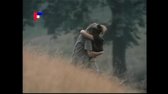 ivana chylkova   zvirata ve meste 1989 mpg