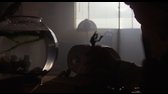 Mimozemšťan (1982) BluRay remast  FHD 1920x1040 HB2500 5 1aac448 CZ, 192aac ENG, tit CZ,ENG (2pass encoding   Spark) mkv