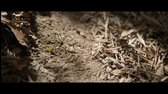 Alien Worlds S01 E02   Janus CZ titulky mkv