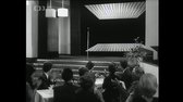 Revue na scestí (1966) mkv