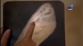 Nil 5 tisíc let historie (2)(2018)Britský dokumentární seriál HDTV 720p cz  mkv
