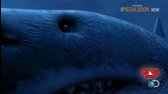Megalodon zije mkv