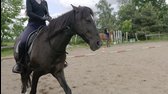 117  Zemanová   drezura mp4